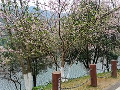 -桃花岭景区