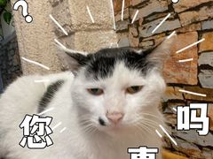 -CLUE演绎实景剧本杀(江南西店)