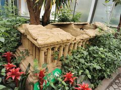 -南宫五洲植物乐园