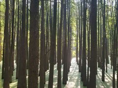 -青山湖景区