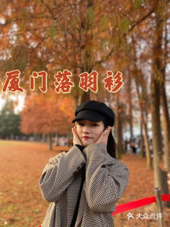 厦门南湖公园｜绝美落羽衫