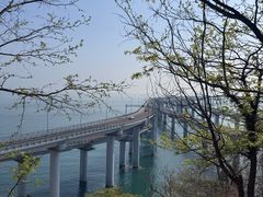 -星海湾跨海大桥