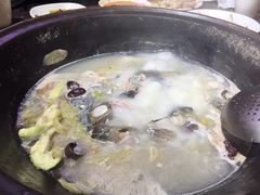 -肥鱼屯活鱼锅(惠工街店)