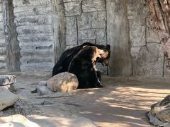 -灵玲国际马戏城