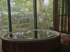 -春晖园度假酒店温泉