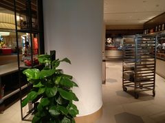 -味餐厅·海鲜·火锅·自助餐