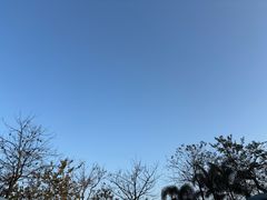 -佛冈熹乐谷温泉度假酒店