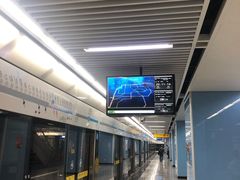 -大龙山(地铁站)