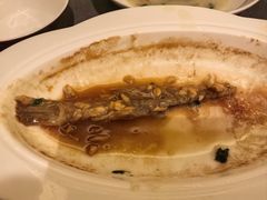 -沈灶河豚宴·河豚融合餐厅(汉中路店)