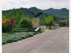 -北京鹫峰国家森林公园