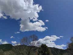 -五台山风景区