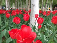 -长春公园(普阳街道)