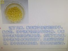 -呼兰河口湿地公园