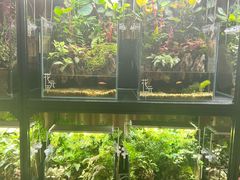 -扶摇湘宴·烤鸭·湘粤宴(中关村·北大店)