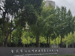 -重庆市江北嘴中央商务区中央公园
