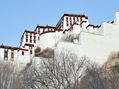 -布达拉宫