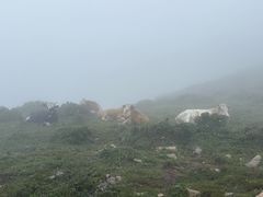 -灵山