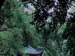 -岳麓山风景名胜区