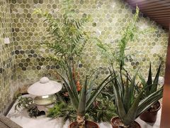 -鑫水汇汤浴