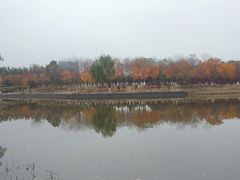 -大兴滨河森林公园