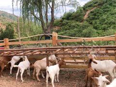 -桑干河大峡谷旅游区