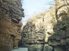 -齐王寨景区