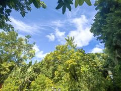 -深圳国际园林花卉博览园