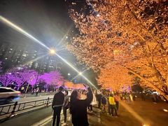 -西北湖绿化广场