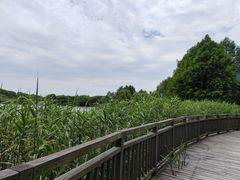 -苏州太湖国家湿地公园