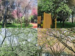 -唐城墙遗址公园