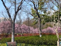 -白塘生态植物园