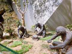 -北京周口店北京人遗址博物馆