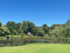 -墨尔本皇家植物园