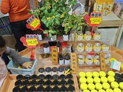 -苏州市吴中区光福窑上花果蜜饯厂