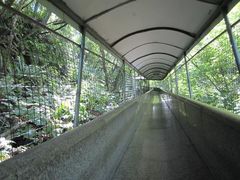 -商洛老君山旅游风景区