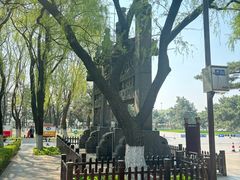 -沈阳市东陵公园