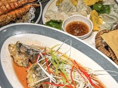 -前海沿·青岛菜(大拇指广场石老人店)