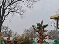 -秦皇岛野生动物园