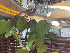 -美奈小馆·东南亚菜(福田星河COCO Park店)