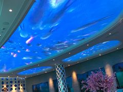 -瑞德姆美人鱼海底演艺主题餐厅(亚龙湾店)