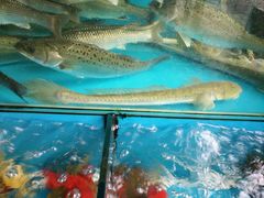 -崖口红树林海鲜餐厅