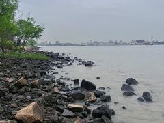 -上海滨江森林公园