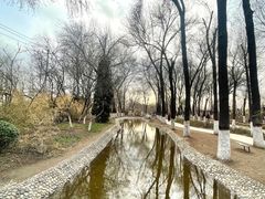 -桃花堤公园