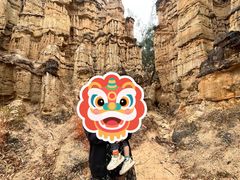 -元谋土林景区(物茂土林)