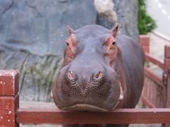 -贵州森林野生动物园