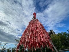 -帽儿山国家森林公园