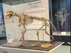 -北京周口店北京人遗址博物馆