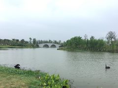 -瑶湖郊野森林公园