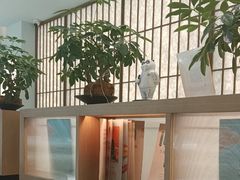 -长风拨筋养身(金虹桥店)