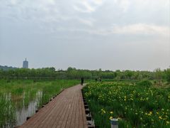 -永定河休闲森林公园